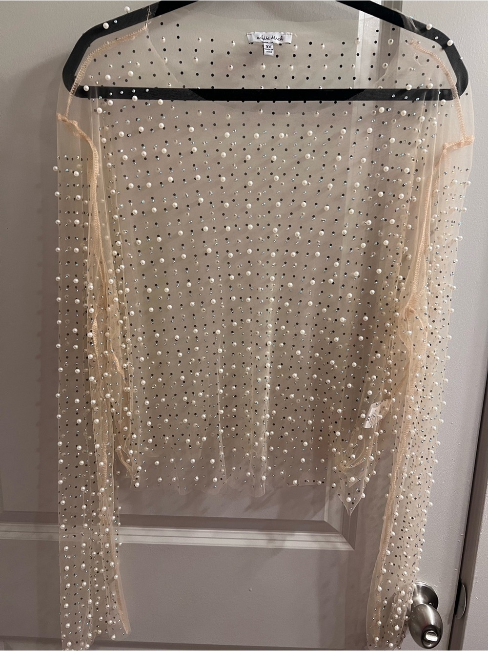 white birch Sheer Pearl-Embellished Nude Skirt Overlay